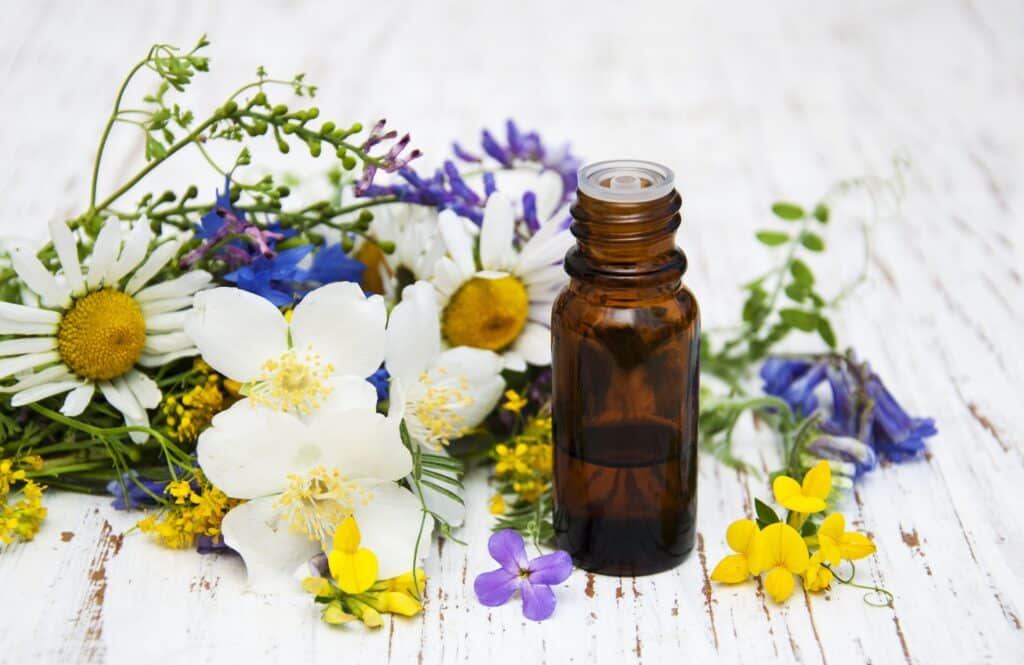 Shutterstock 292821722 essential oil blend